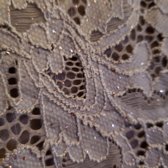 Lavender/Pink Lace Dress - 2X - Picture 6 of 7